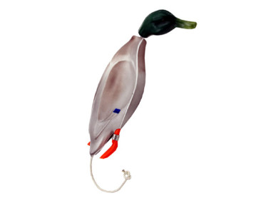 Dokken's Dead Fowl Miniature Mallard