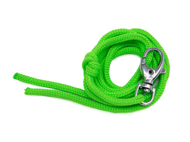 Firedog Lanyard nylon neon green