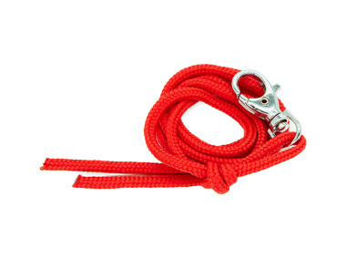 Firedog Lanyard nylon red