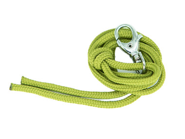 Firedog Lanyard nylon light green