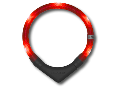 LED Light dog collar LEUCHTIE Plus red 47,5 cm