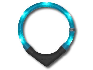 LED Light dog collar LEUCHTIE Plus turquoise 35 cm